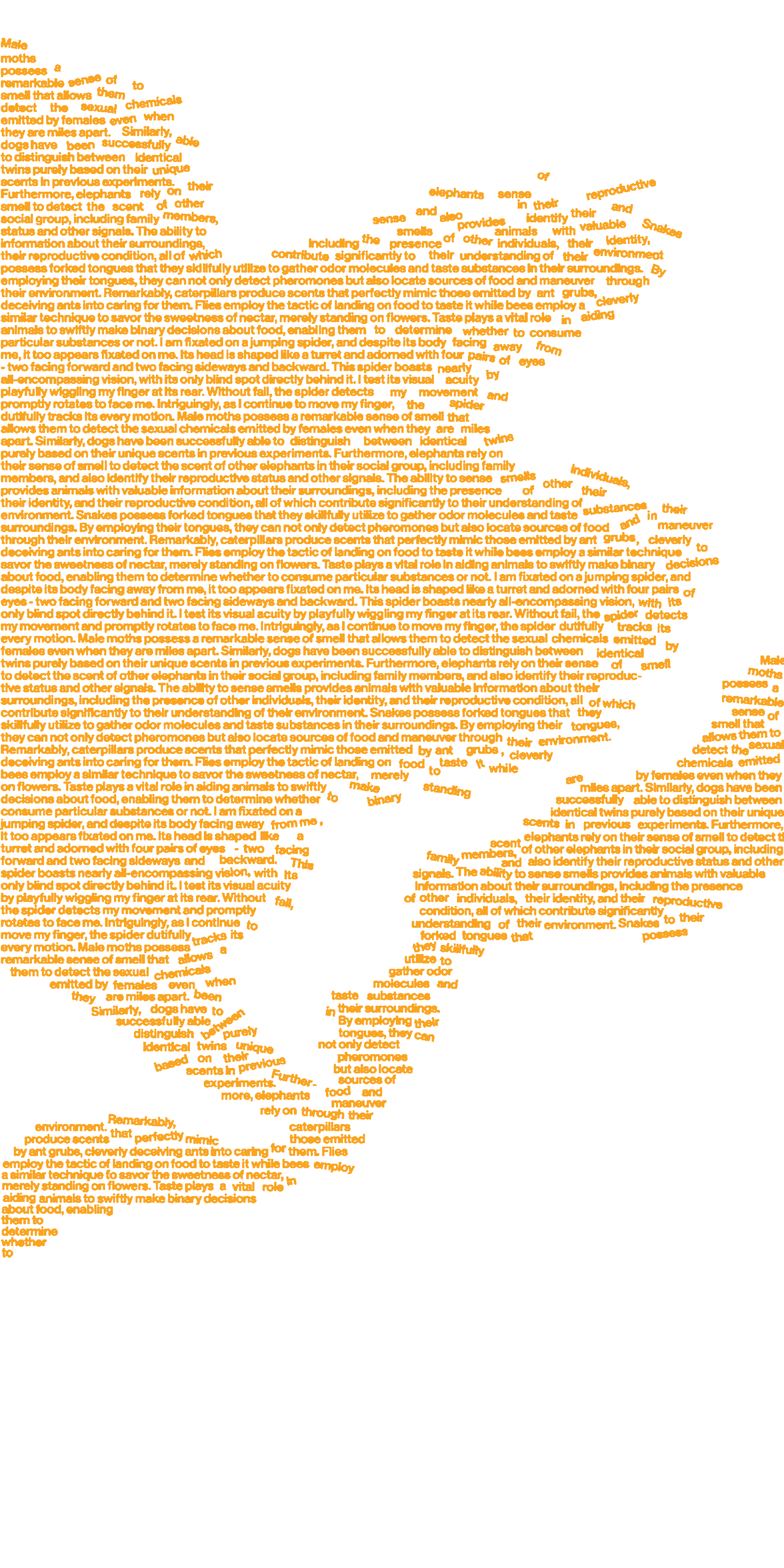 Typographic continent design