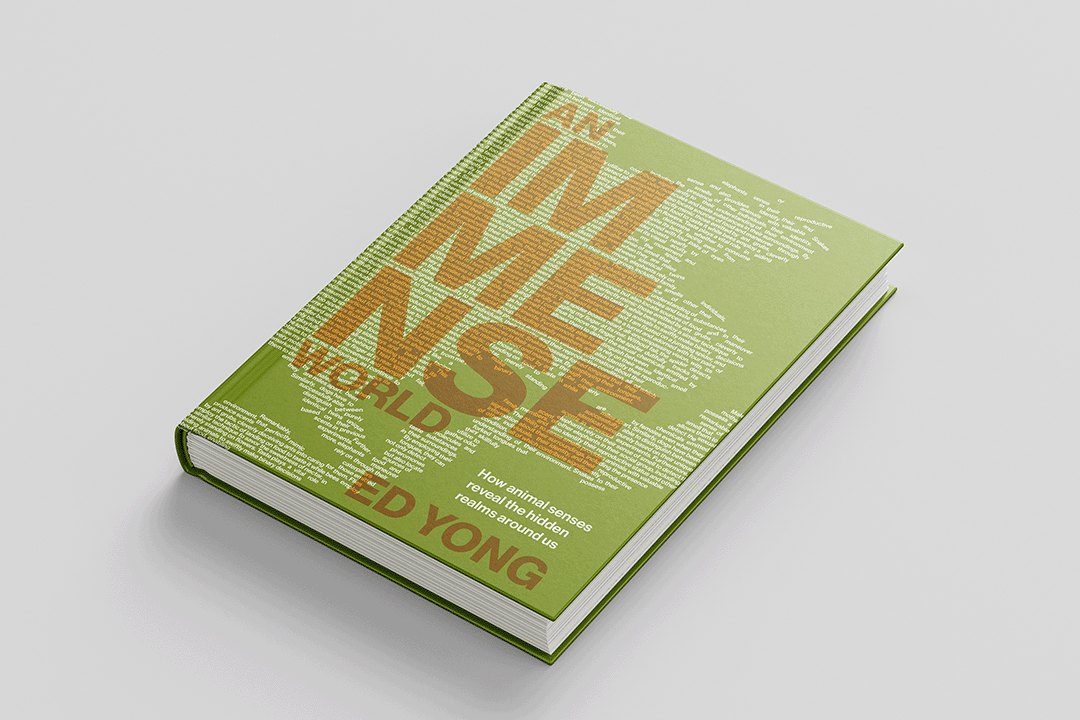 Book Cover Redesign